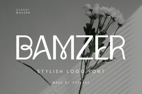 Download Bamzer - Premium Resources